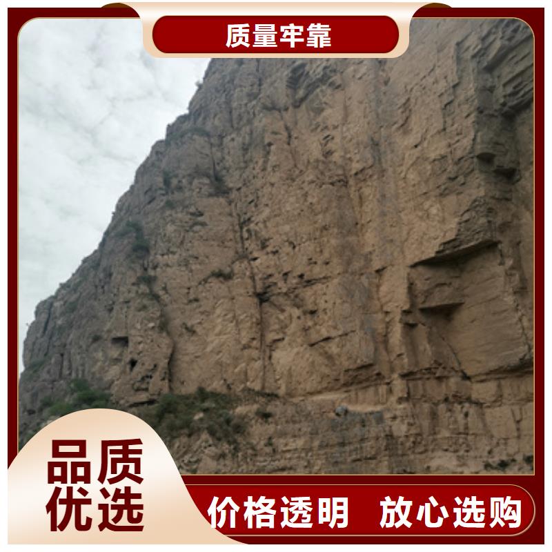 高壓發電機租賃本地廠家