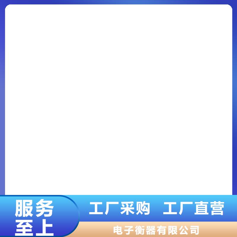 解放電子地磅維修