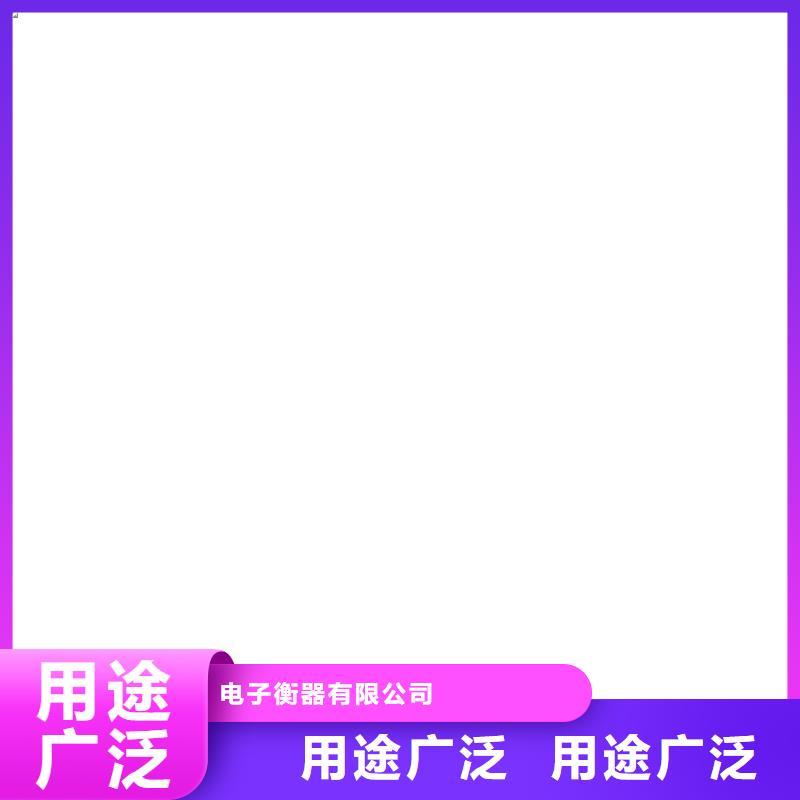 地磅儀表D12