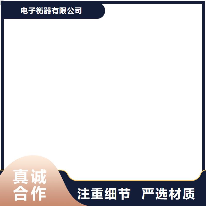 10t電子吊秤價格低