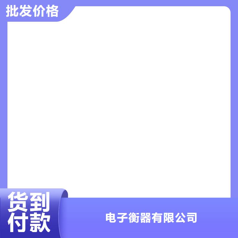 【电子地磅电子磅值得信赖】