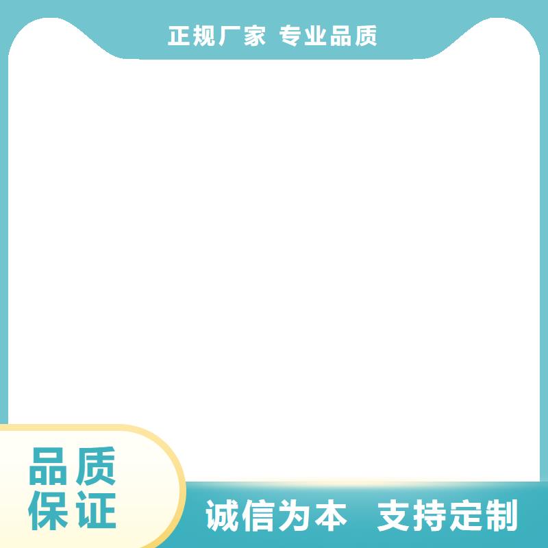 輸送機電子皮帶秤