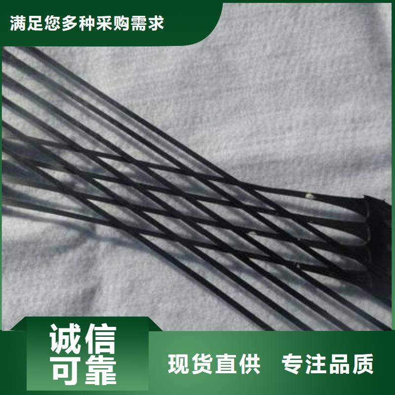 單向拉伸塑料格柵滌綸土工格柵現(xiàn)貨批發(fā)