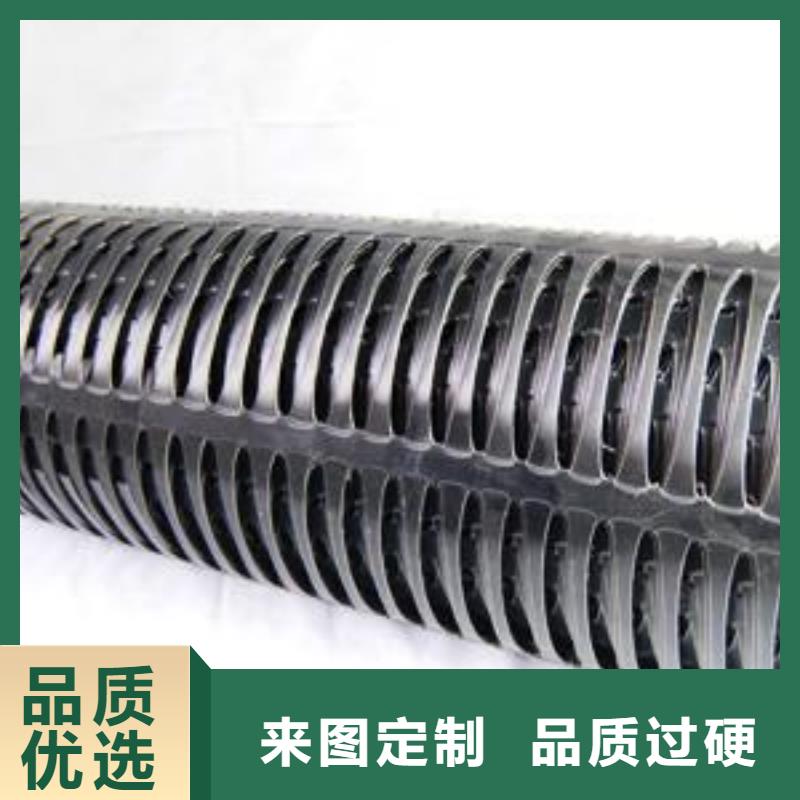 【雙向塑料土工格柵三維復(fù)合排水網(wǎng)選擇大廠家省事省心】