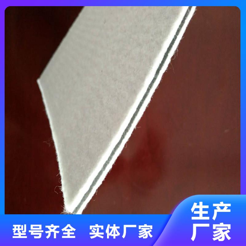 危廢渣場用土工膜