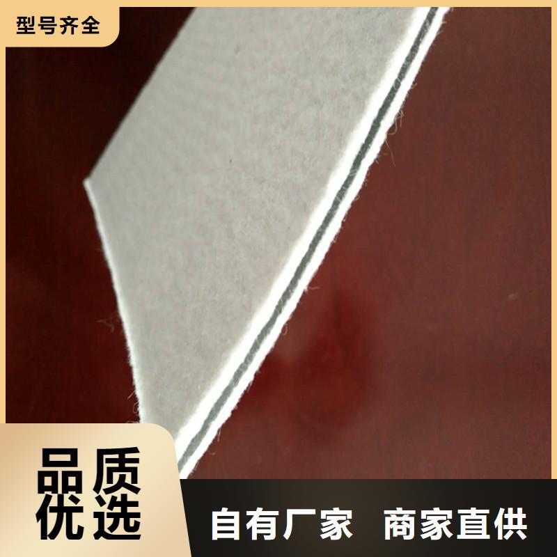 【土工膜】塑料盲溝廠家銷售