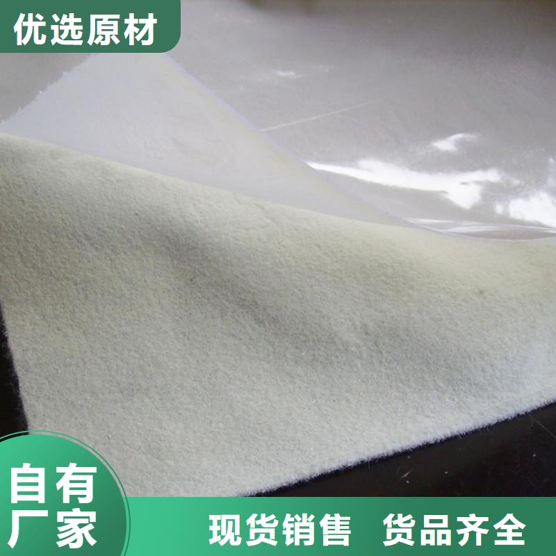 防滲防漏高密度聚乙烯土工膜HDPE土工膜廠家