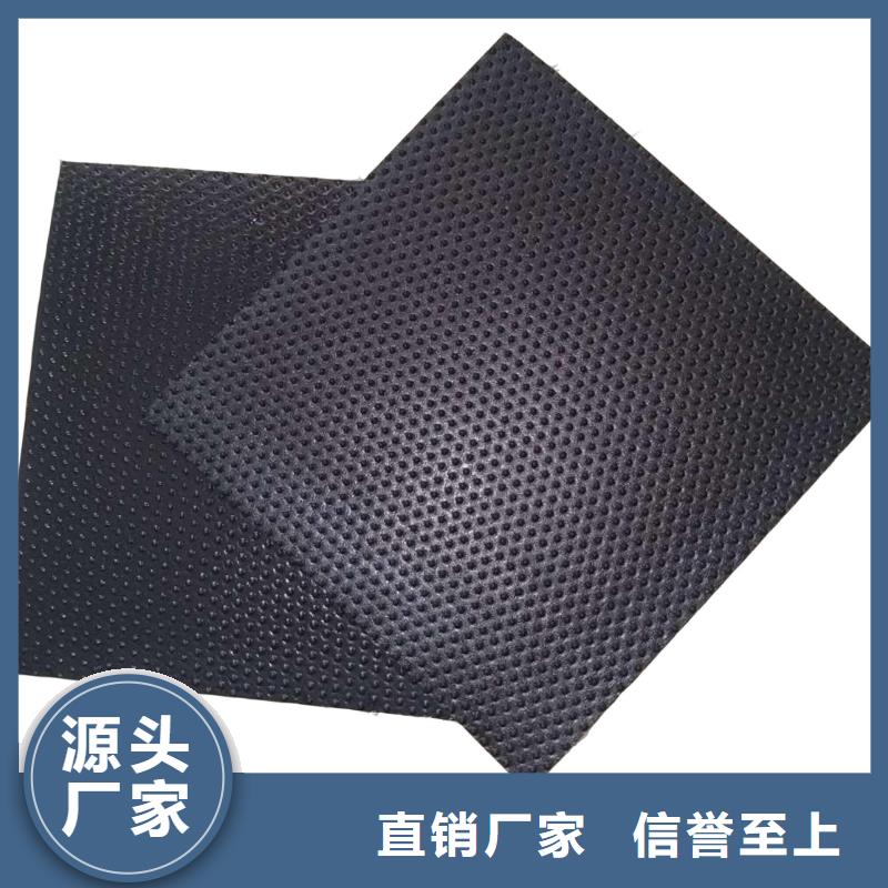 河道護(hù)坡聚乙烯土工膜
