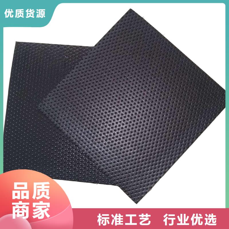 800g土工膜藕池防滲土工膜生產(chǎn)廠家