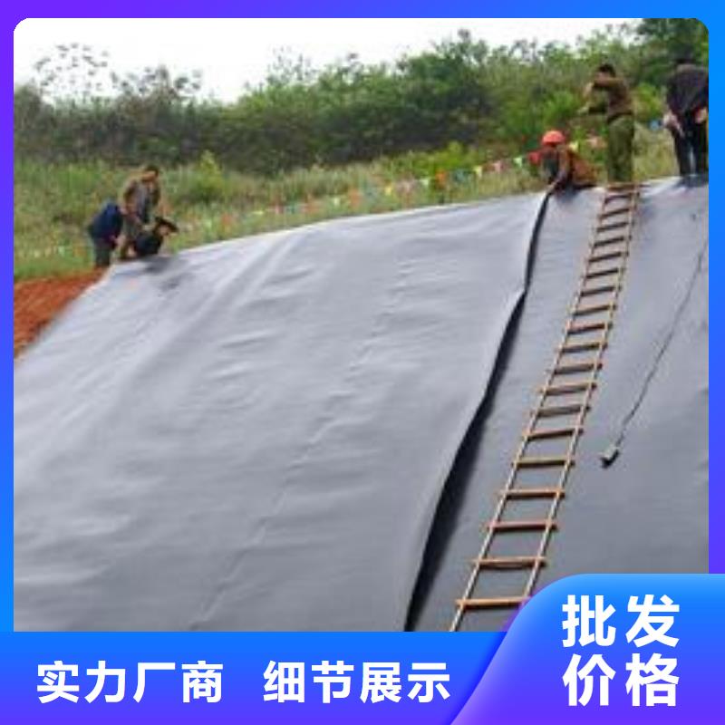 廠家供應(yīng)土工膜；