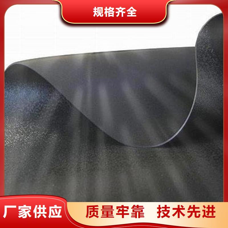土工膜滌綸土工格柵現貨充足