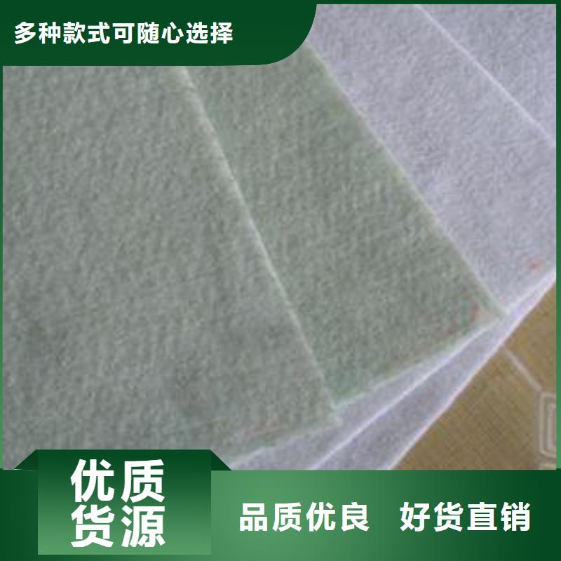 土工布三维复合排水网量大更优惠