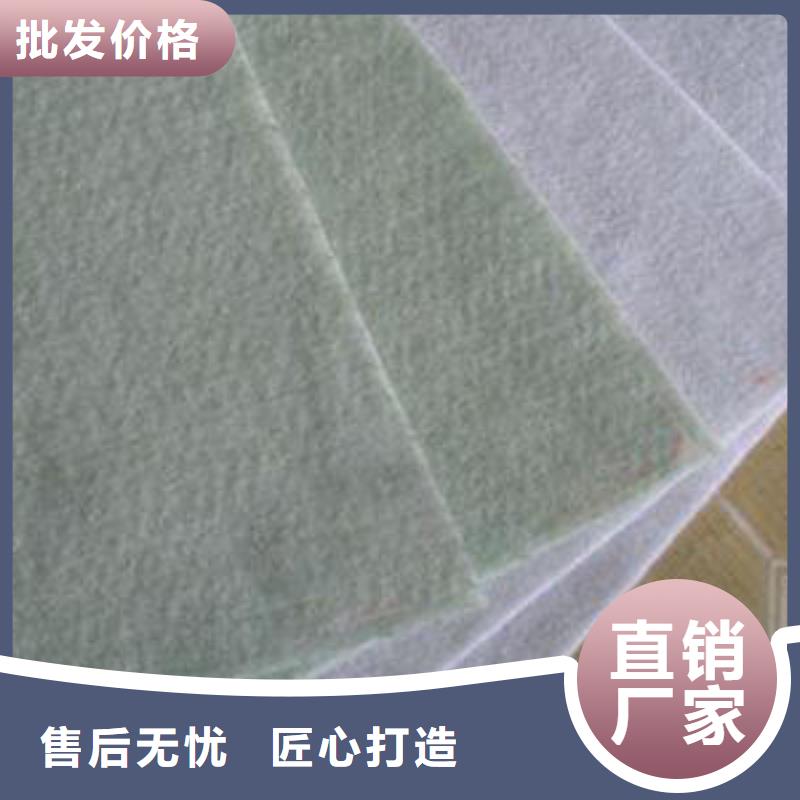 【土工布】双向拉伸土工格栅采购无忧同城生产厂家