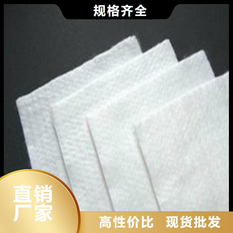 土工布三维复合排水网量大更优惠