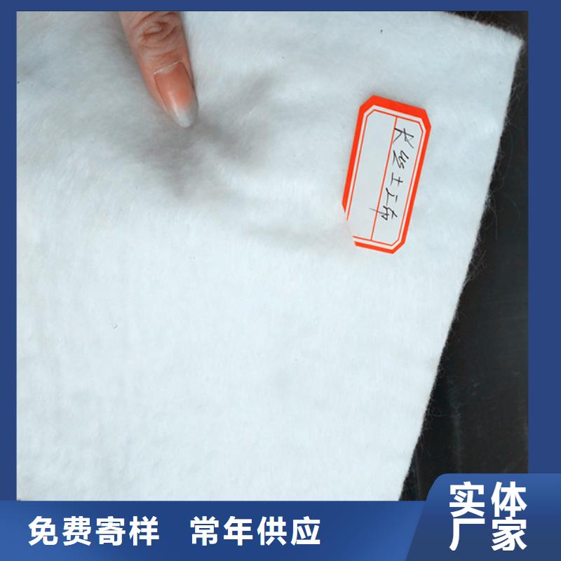 無(wú)紡針刺土工布廠家現(xiàn)貨