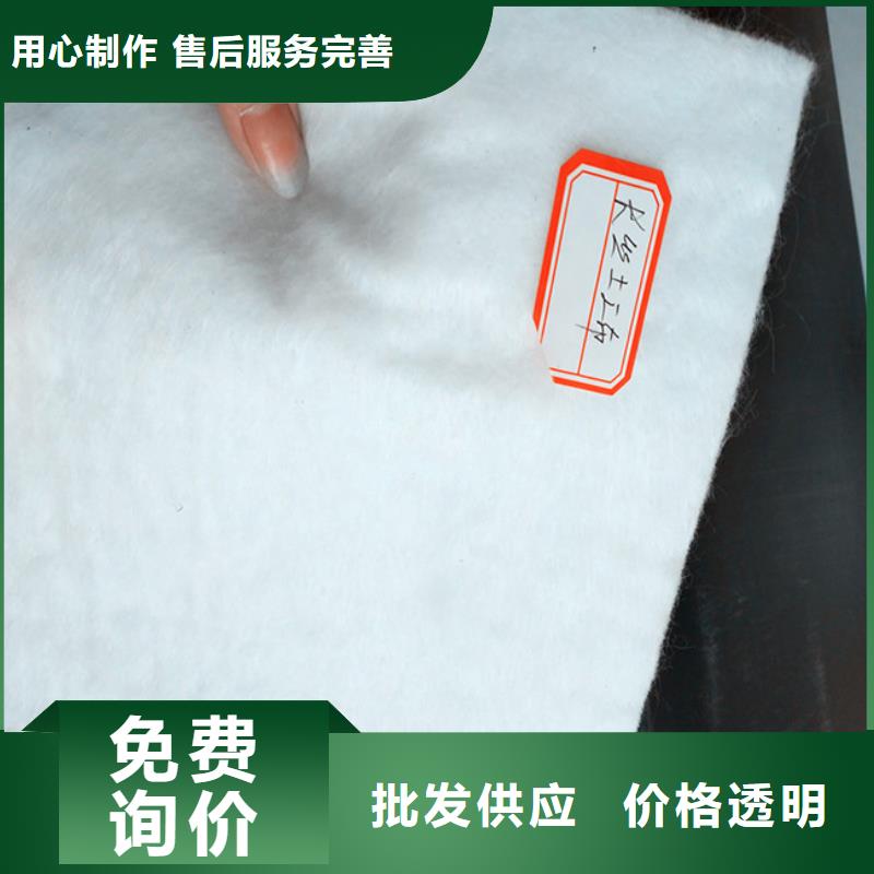 短纖土工布廠家