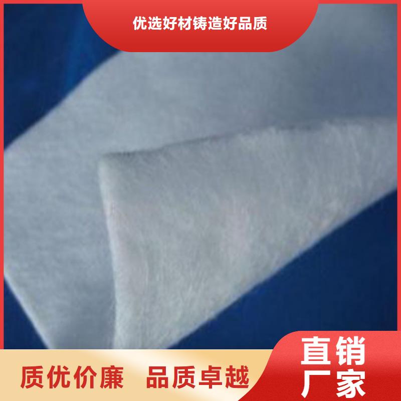 【土工布】双向拉伸土工格栅采购无忧同城生产厂家