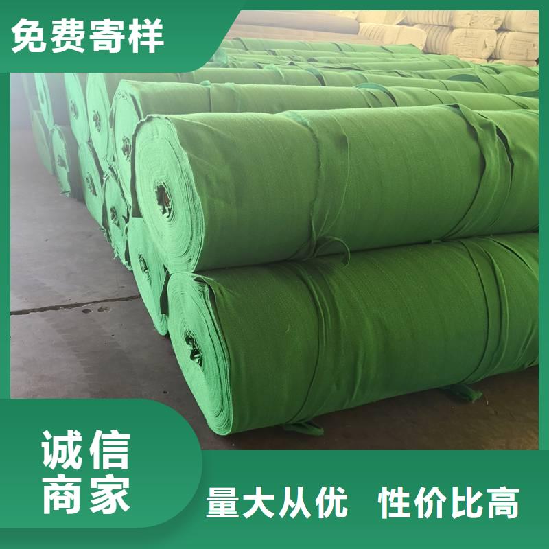 土工布三維復(fù)合排水網(wǎng)現(xiàn)貨快速采購