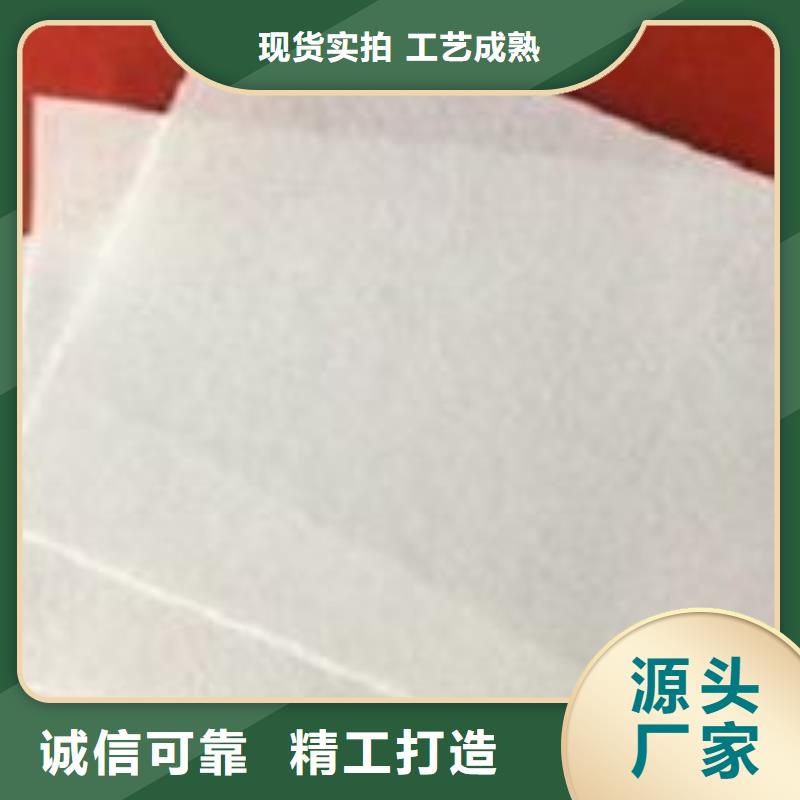土工布三維復合排水網多年行業積累