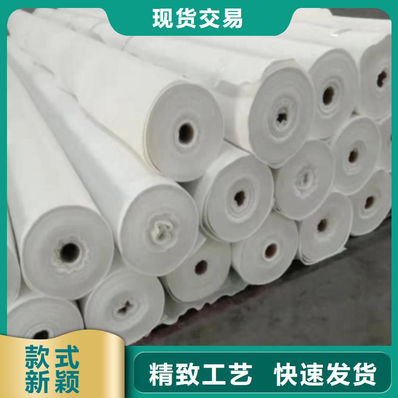 南昌400g土工布抗冷凍生產(chǎn)廠家