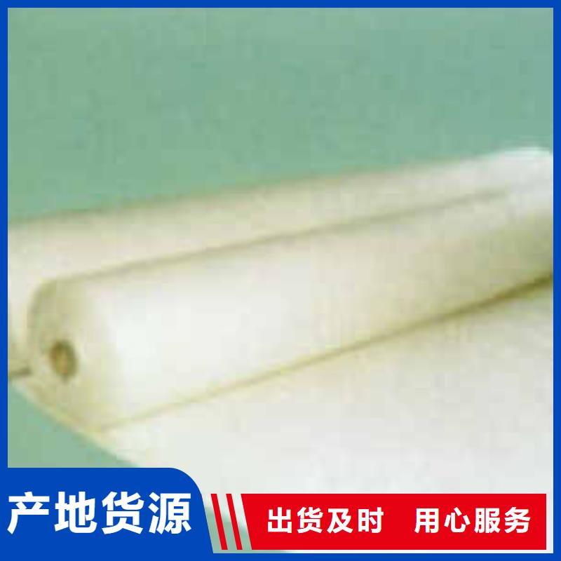 聚酯無紡布廠家強力高長絲土工布垃圾填埋場長絲土工布廠家現貨支持拿樣歡迎咨詢