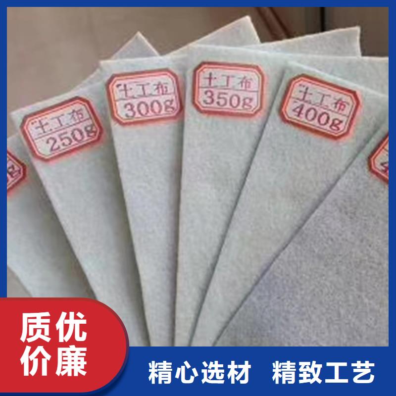 土工布 【三维植被网】源头工厂