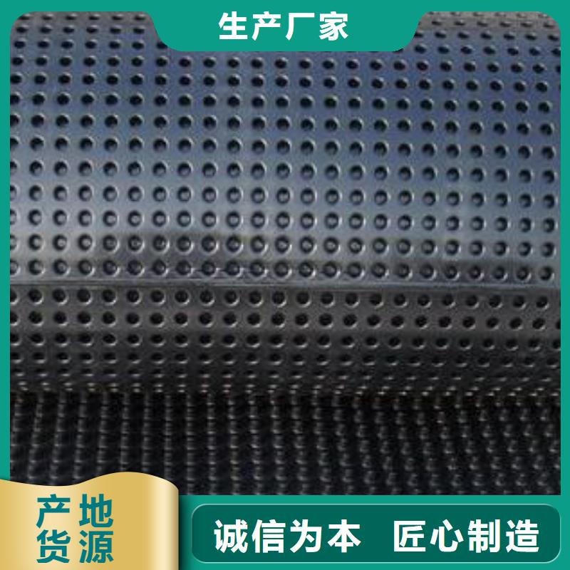 蓄排水板塑料盲溝品質(zhì)優(yōu)良