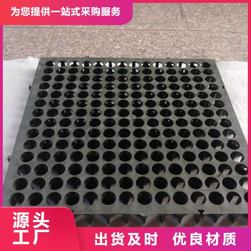 蓄排水板雙向塑料土工格柵嚴(yán)選好貨