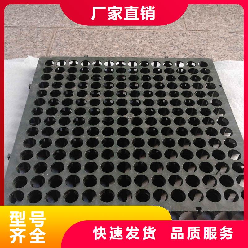 【蓄排水板】雙向拉伸土工格柵種類多質(zhì)量好