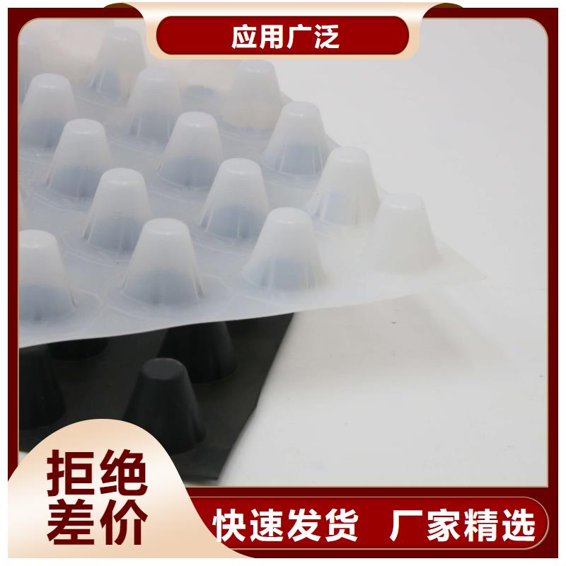 蓄排水板【三維復(fù)合排水網(wǎng)】可接急單