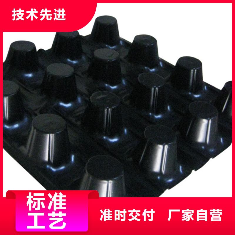 蓄排水板三維土工網墊實體廠家支持定制
