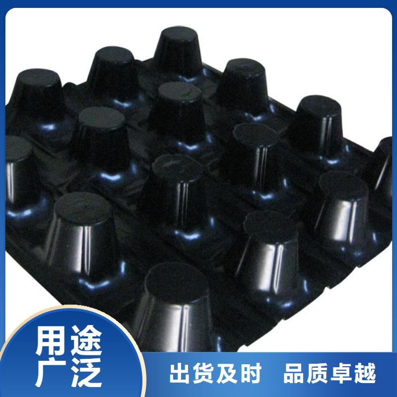 【蓄排水板三維植被網自營品質有保障】