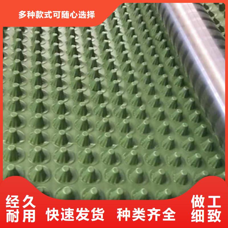 蓄排水板土工席垫让客户买的放心