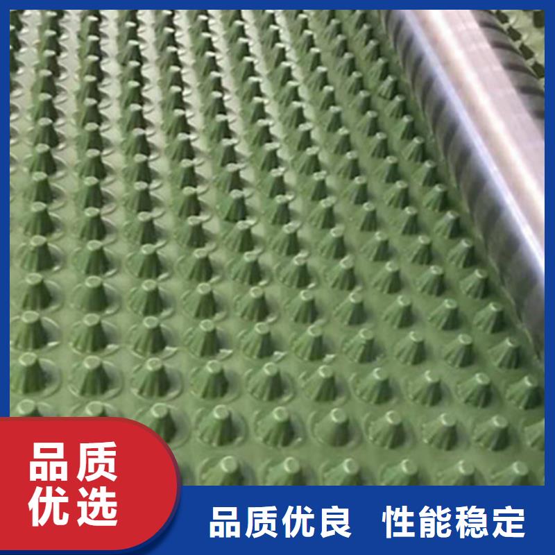 蓄排水板軟式透水管實(shí)體誠信廠家