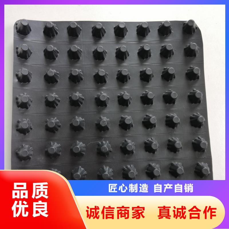 蓄排水板雙向塑料土工格柵嚴(yán)選好貨
