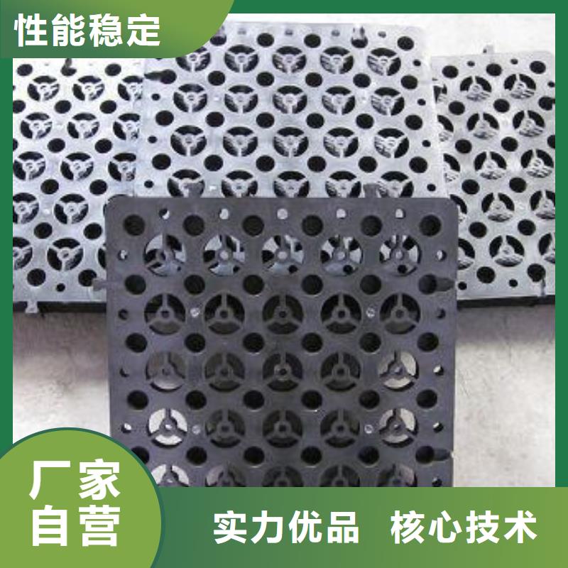 蓄排水板三維植被網出廠嚴格質檢