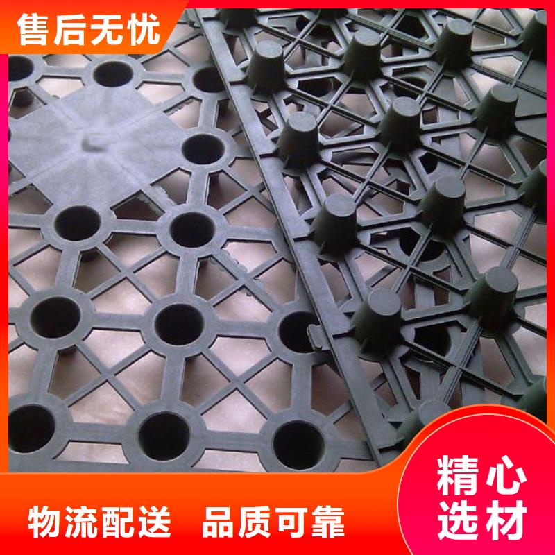【蓄排水板,膨潤土防水墊工期短發貨快】