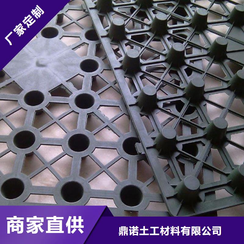 【蓄排水板-三維土工網(wǎng)墊實(shí)力廠家直銷】