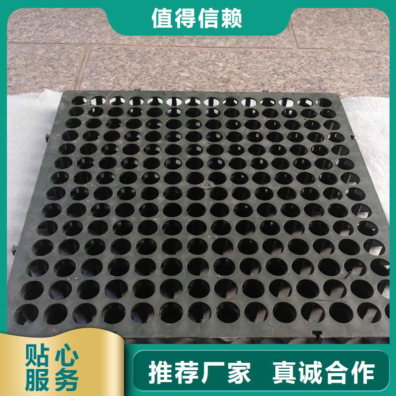 凹凸型塑料排水板價格