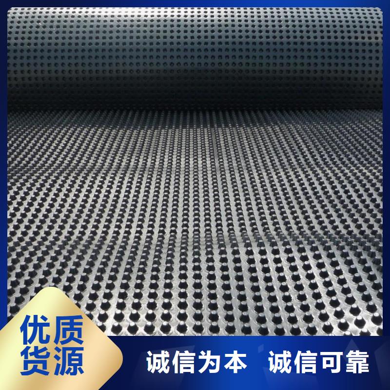 【蓄排水板,膨潤土防水墊工期短發貨快】
