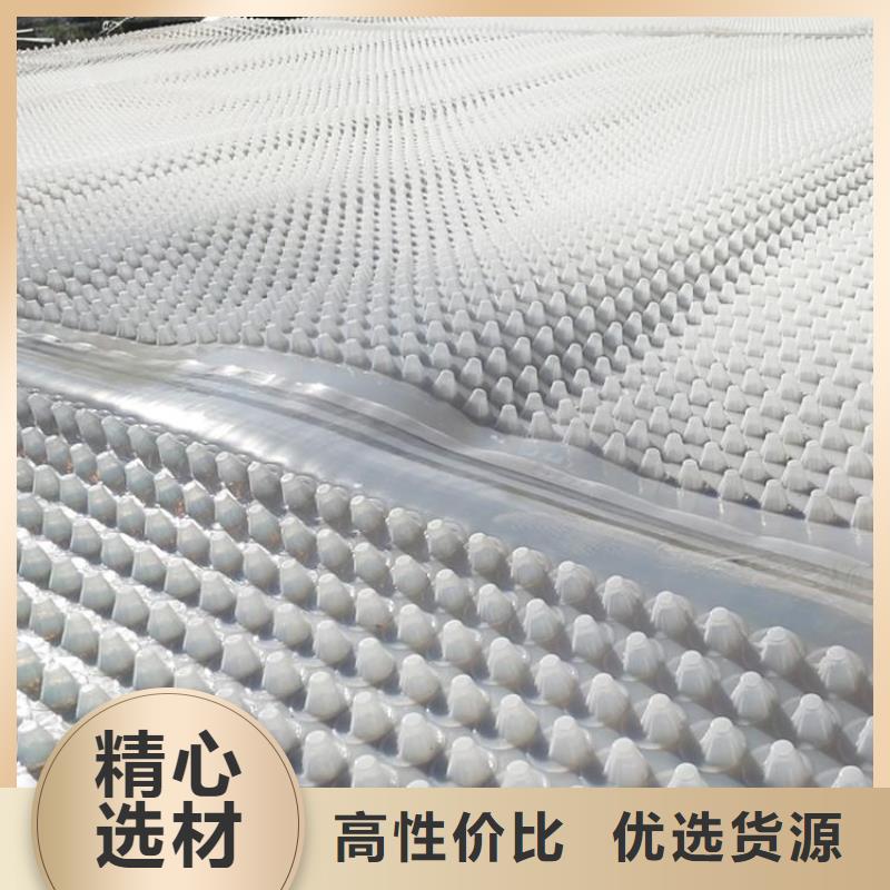 蓄排水板復(fù)合土工膜嚴格把控每一處細節(jié)