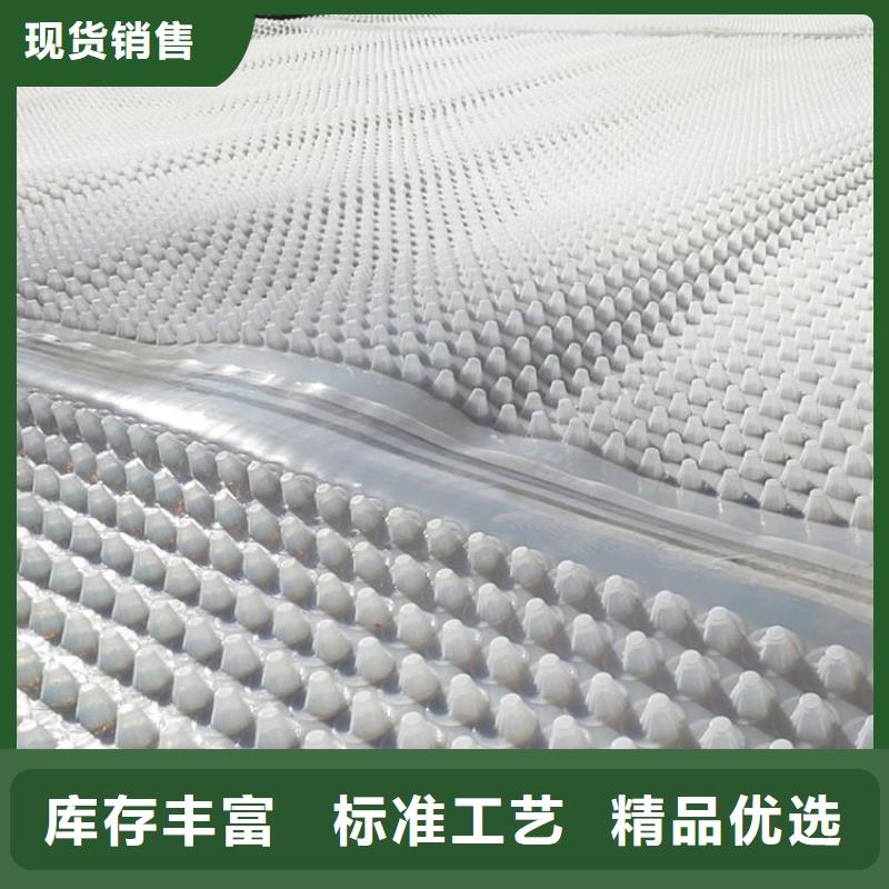 蓄排水板【三維復(fù)合排水網(wǎng)】可接急單
