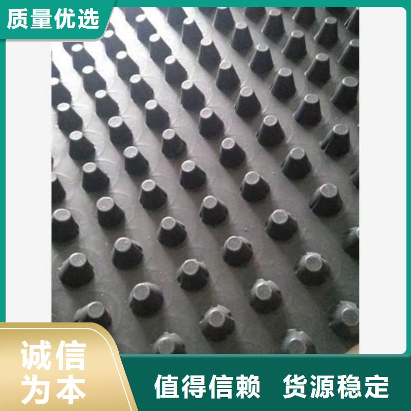 【蓄排水板凸結點鋼塑土工格柵支持大小批量采購】