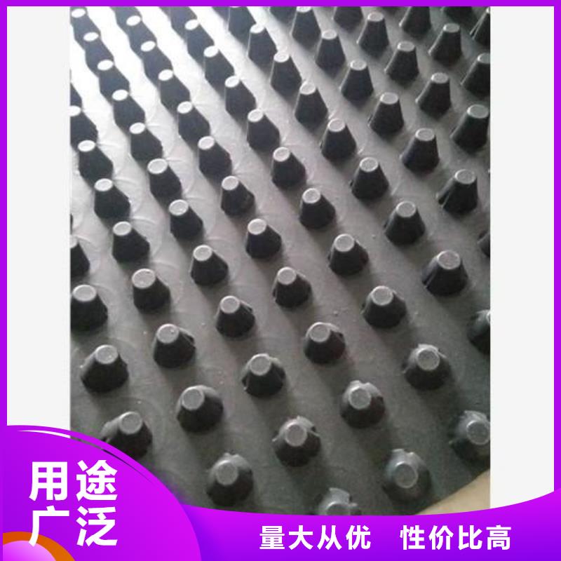 蓄排水板-三維土工網(wǎng)墊有實力有經(jīng)驗
