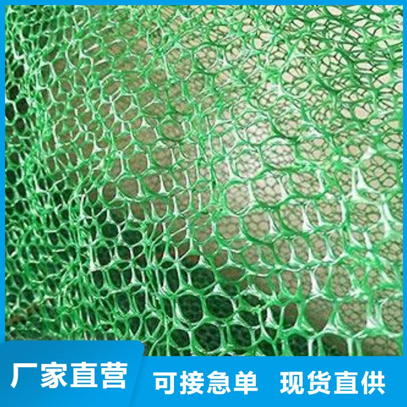 【 三维植被网,塑料盲沟经久耐用】