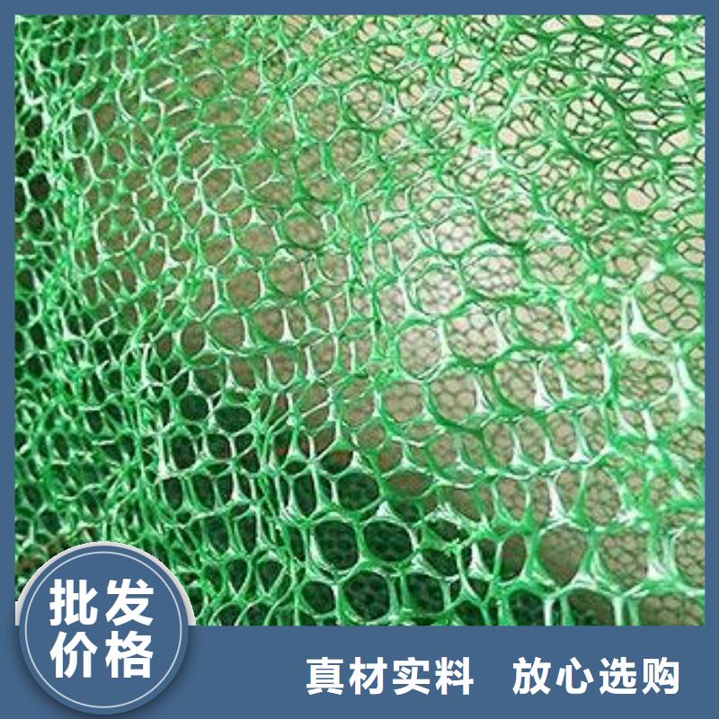 三維土工網(wǎng)墊廠家價格土工網(wǎng)墊廠家三維植被網(wǎng)
