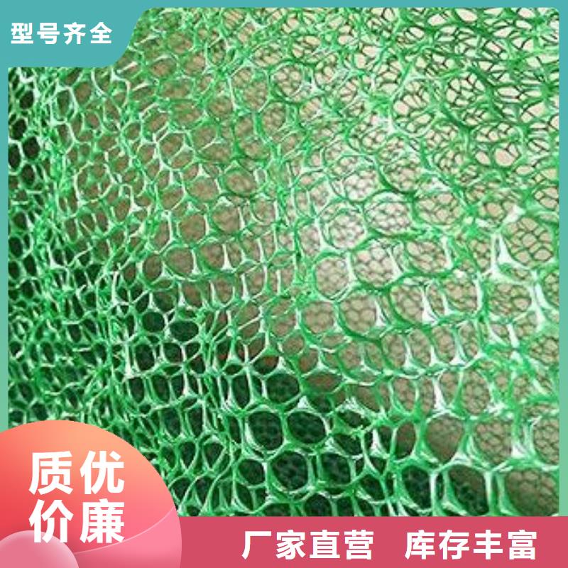 三維植被網(wǎng)噴播植草護(hù)坡網(wǎng)