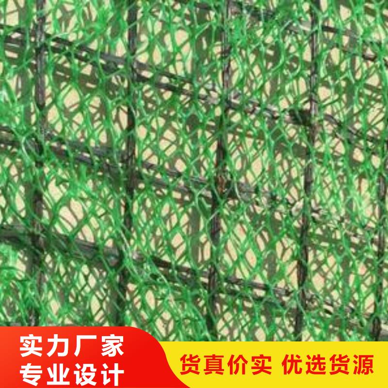 三維植被網_玻纖土工格柵廠家大量現貨