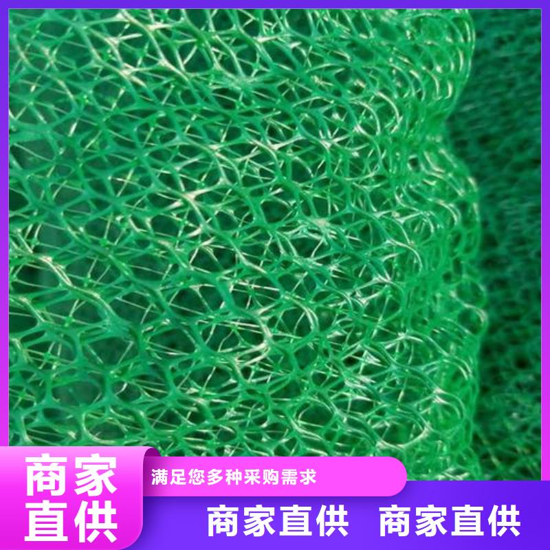 噴播植草護坡三維網