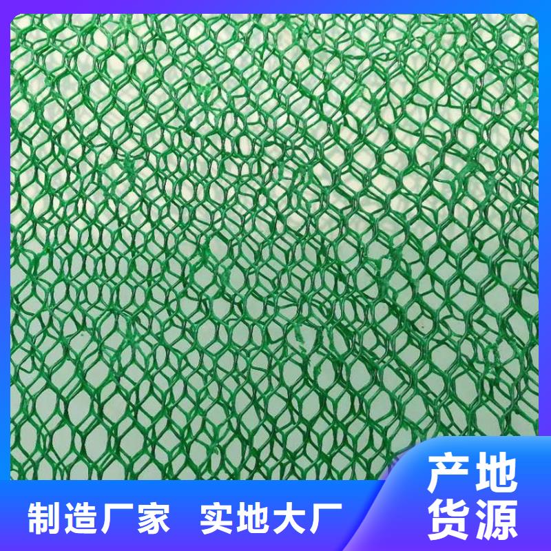 綠化植草三維土工網墊走量批發
